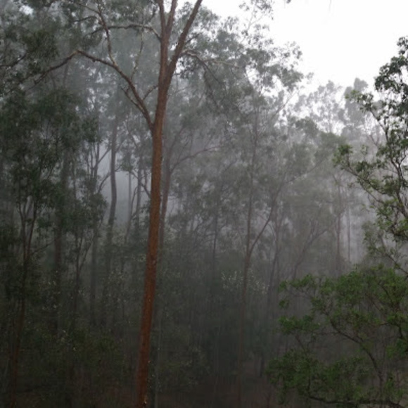 Meet your Posher, Kim - Picture 1 of 1